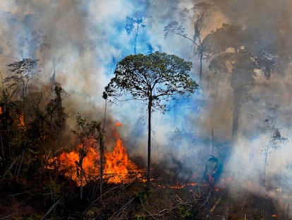 Incêndio na reserva Novo Progresso, no Pará, em agosto.