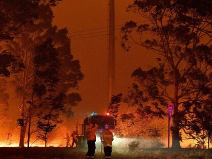 Os bombeiros tentam extinguir um incêndio em Nowra (Austrália) nesta terça-feira.