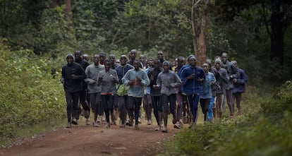 Un grupo de atletas keniatas entrenan para los Juegos en un bosque de Nairobi (Kenia). Entre ellos, el campeón olímpico y del mundo Asbel Kiprop.