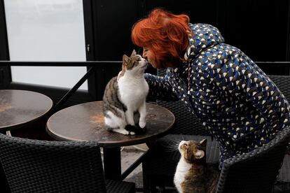 Una mujer le da un beso a un gato en la terraza de una cafetería en Belgrado (Serbia), el 6 de marzo de 2018.