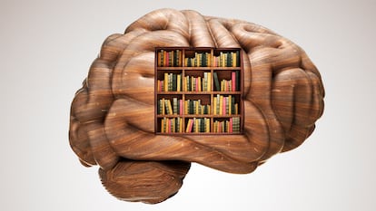 Brain made of wood with a bookcase