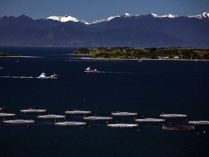 Una granja de salmón flota en la Bahía de Huelmo cerca de Puerto Montt, Chile.