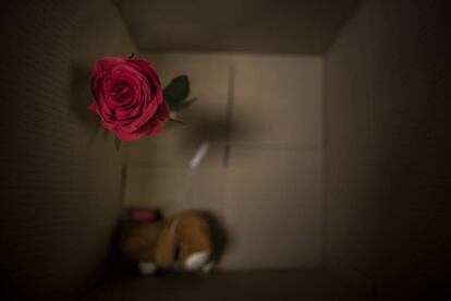 Una flor de tela y un peluche descansan en el fondo de una caja después de haber sido clasificados en el centro de colecciones del Museo de Historia de Barcelona.