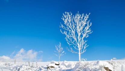 Solsticio de invierno