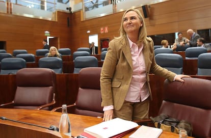 La Consejera de Transportes,  Rosalía Gonzalo López, en un pleno de la Asamblea.