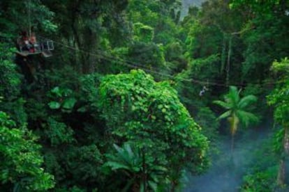 Practicando el 'jungle surfing' en Cape Tribulation, en Australia.