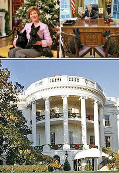 Laura Bush, con sus perros, y George Bush en el Despacho Oval; abajo, los perros, ante la Casa Blanca.