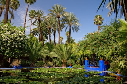 Refinamiento árabe de palmeras y fuentes de agua susurrante. El <a href="http://jardinmajorelle.com/ang/" target="_blank">Jardín Majorelle</a> asoma, refrescante, en el corazón de Marrakech, como el sueño del pintor francés Jacques Majorelle, que necesitó 40 años para crear este oasis exótico de caminos sombreados, arroyos, estanques llenos de nenúfares y flores de loto. El viento murmurando entre las hojas, los pájaros cantando, el aire cargado de aroma a jazmín. Y un edificio pintado en un añil vibrante, con todo su encanto morisco aderezado por toques art decó. <a href="https://elviajero.elpais.com/elviajero/2017/09/06/actualidad/1504693497_813975.html" target="_blank">Yves Saint-Laurent y Pierre Bergé</a> compraron la propiedad, que estaba abandonada, en 1980; conservaron la vivienda para su uso privado, transformaron el taller en museo de arte islámico y restauraron el jardín.