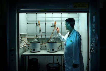 Luisa Pistelli, profesora de Biología Farmacéutica en la Universidad de Pisa, analiza la fitoquímica de los cultivos acuáticos. Mediante la hidrodestilación de las partes aéreas frescas de la albahaca y utilizando equipos Clevenger, aparatos especializados para la recogida de líquidos, es posible extraer el aceite esencial para su posterior análisis. Este servirá para obtener su composición química y valorar sus beneficios.