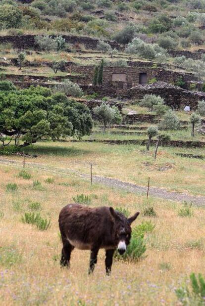 Medio Ambiente realiza un censo de las <i>barracas</i> del cabo de Creus.