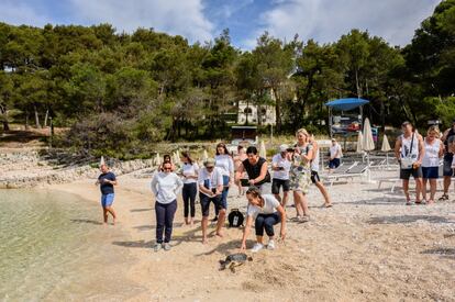 Unos turistas toman fotografías de una tortuga marina liberada en una playa cercana al centro de recuperación del Instituto Mundo Azul en Veli Losinj. La recuperación de las tortugas marinas, perjudicadas por las actividades del ser humano, es una de las actividades de BWI junto con las investigaciones sobre delfines
poblaciones en el archipiélago de Losinj. Croacia, 16 de junio de 2021.