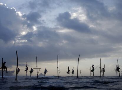 Los pescadores de Ahangama, al sur de la isla del Índico, esperan sobre largas pértigas a que algún pez muerda el anzuelo.