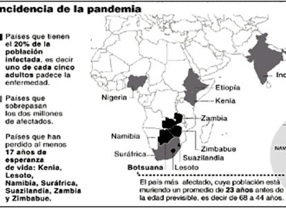 GRÁFICO