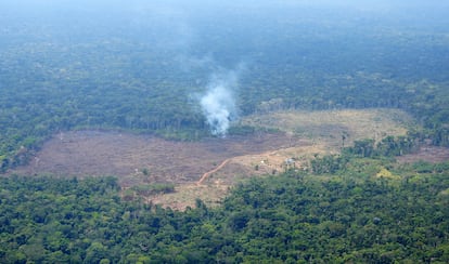 Incendio y zona deforestada. 