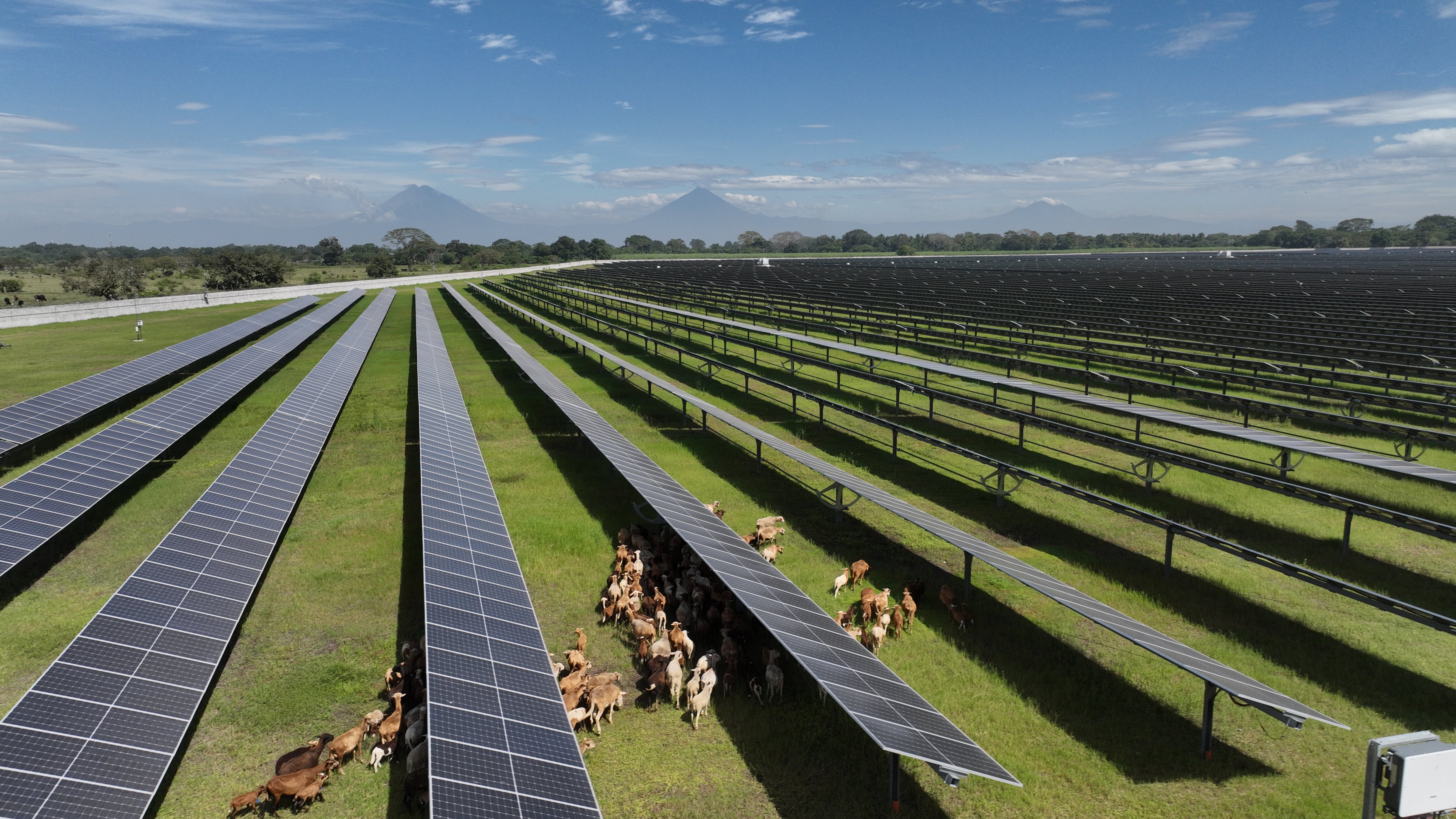 Ecoener gana 3 millones en el primer semestre y supera el hito de un gigavatio en activos