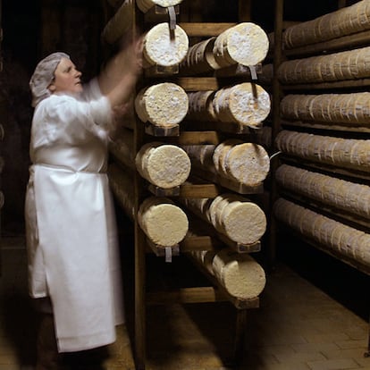 Hacen queso azul en La Peral (Asturias). Al frente de la quesería se encuentra la tercera generación de la familia de Antonio León Álvarez, que desde 1923 elabora de manera artesanal quesos azulados con leche de vaca y de oveja, con moho noble, y madurados en bodega natural. www.quesoslaperal.com.