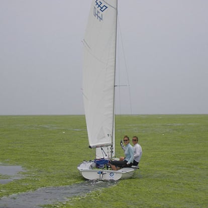 Natalia Vía-Dufresne y Laia Tutzó tratan de navegar entre el mar de algas de Qingdao.
