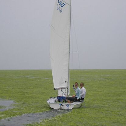 Natalia Vía-Dufresne y Laia Tutzó tratan de navegar entre el mar de algas de Qingdao.