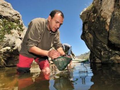 Jaime Bosch durante el trabajo de campo en un torrente de Mallorca