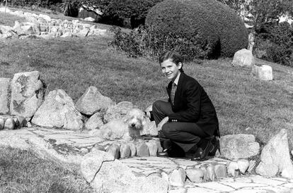 26 de julio de 1983. Don Felipe de Borbón y Grecia juega con un perro en el palacio de la Zarzuela, antes de partir de vacaciones a Mallorca.