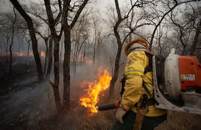 Incendios en el pueblo de Tomazia (Brasil)