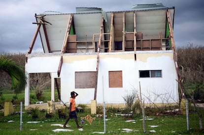 Destrozos causados por el ciclón Pam en la isla de Tanna, Vanuatu.