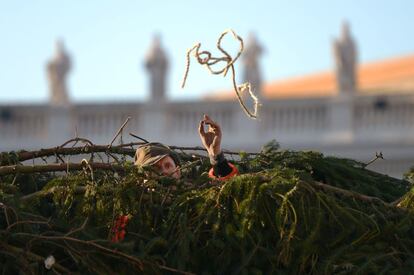 Trabajadores colocan el tradicional árbol de Navidad en la plaza de San Pedro en el Vaticano (Italia), 5 de diciembre de 2013.