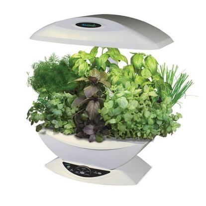 Aerogarden_huerto_electrico_blanco_5