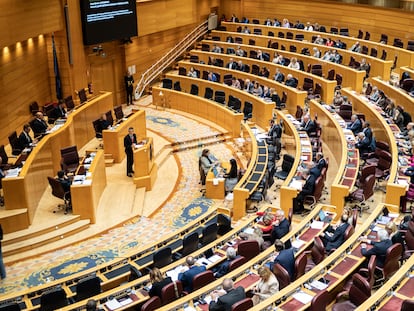 Hemiciclo del Senado, durante el debate de las enmiendas totales a la ley de amnistía, este miércoles.