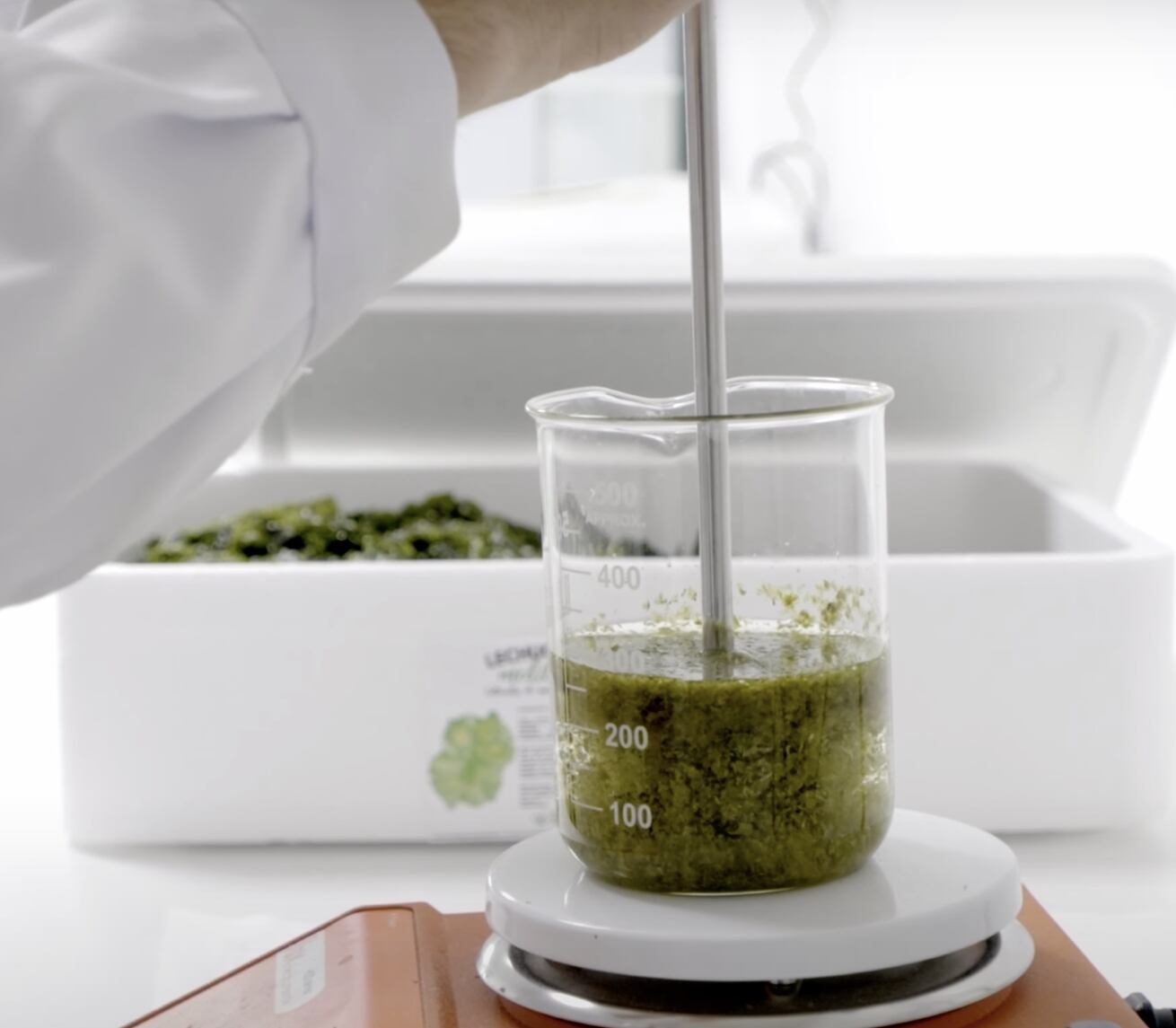 Una persona mezcla las algas en el laboratorio en una imagen cedida por la empresa Mediterranean Algae. 