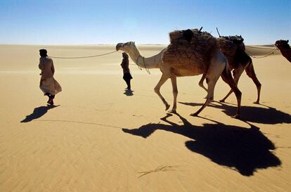 Una caravana de dromedarios en el desierto del Teneré, en Níger.
