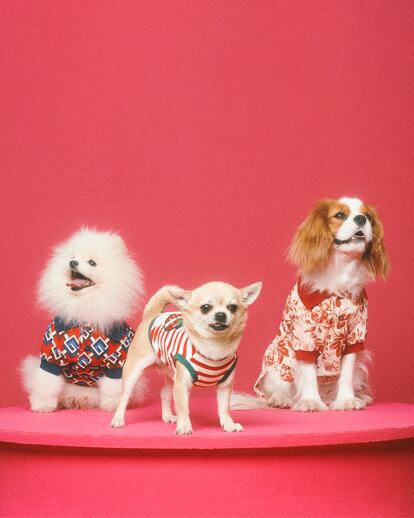 Tres de los modelos de jerséis de la colección Gucci Pet.