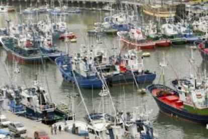 Pesqueros amarrados en el puerto vizcaíno de Bermeo. EFE/Archivo