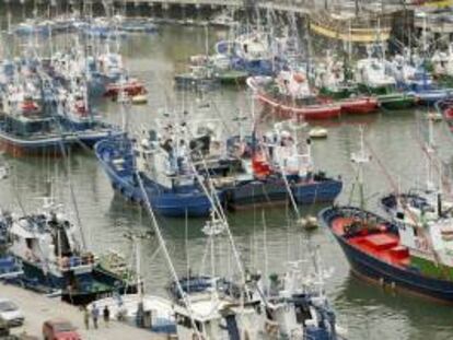 Pesqueros amarrados en el puerto vizcaíno de Bermeo. EFE/Archivo