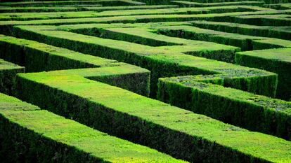 El Laberint d'Horta, en Barcelona.