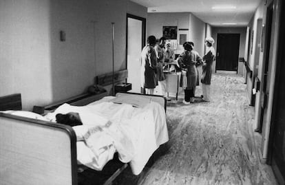 El 25 de mayo de 1981, 120 personas se encuentran internadas por neumonía atípica en el Hospital Provincial de León. El mal tiene conmocionado a todo el país. Lo que ha surgido en los alrededores de Madrid se extiende en dirección norte-noroeste, con una alta incidencia en León, hasta el norte de Portugal. La falta de datos y las contradicciones en la información oficial desatan la psicosis colectiva. Microplasmas que caen del cielo en aviones, los pájaros, los pesticidas de los cultivos. La Embajada de Estados Unidos tiene que desmentir que en la base de Torrejón de Ardoz, localidad que resulta muy afectada, haya armas bacteriológicas. El 13 de mayo de 1981 el Ministerio de Trabajo, Sanidad y Seguridad Social afirma que se había encontrado en uno de los enfermos la presencia del microplasma neumónico, una bacteria que causa una gran variedad de síntomas respiratorios. El ministro de Sanidad, Jesús Sancho Rof declara en TVE que la neumonía "es menos grave que la gripe. Lo causa un bichito del que conocemos el nombre y el primer apellido. Nos falta el segundo. Es tan pequeño que, si se cae de la mesa, se mata". El Centro de Control de Enfermedades de Atlanta manda a tres especialistas a España. Se apuesta por una fuerte campaña de desinfección.