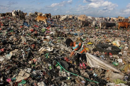 Un niño busca artículos utilizables en un basurero en Antang (Indonesia).