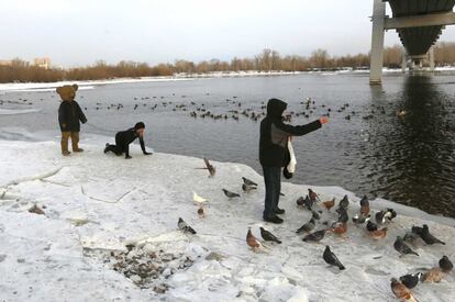 Un hombre alimenta a los patos mientras el artista Vasily Slonov realiza una performance en la ribera del río Yenisei como parte de su exposición "The Cotton Bears Dreams", en Krasnoyarsk (Rusia). 