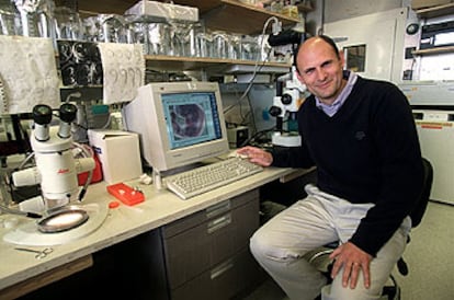 Juan Carlos Izpisúa Belmonte, en su laboratorio del Instituto Salk de San Diego.