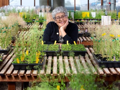 Joanne Chory, en el Instituto Salk, en La Jolla, California. 