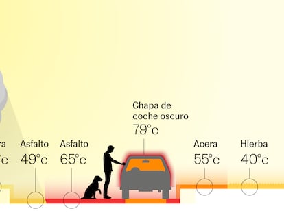 Coches a 80 grados y parques infantiles a 65: descubra las temperaturas extremas que lo rodean