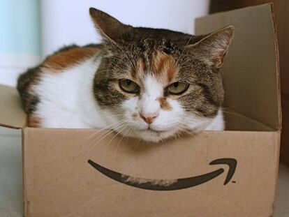 Si compras en Amazon te interesará este libro