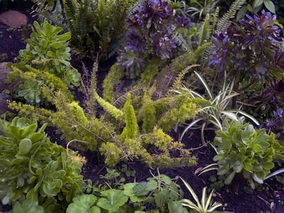 El jardín de plantas salvajes tiene unas cinco hectáreas.