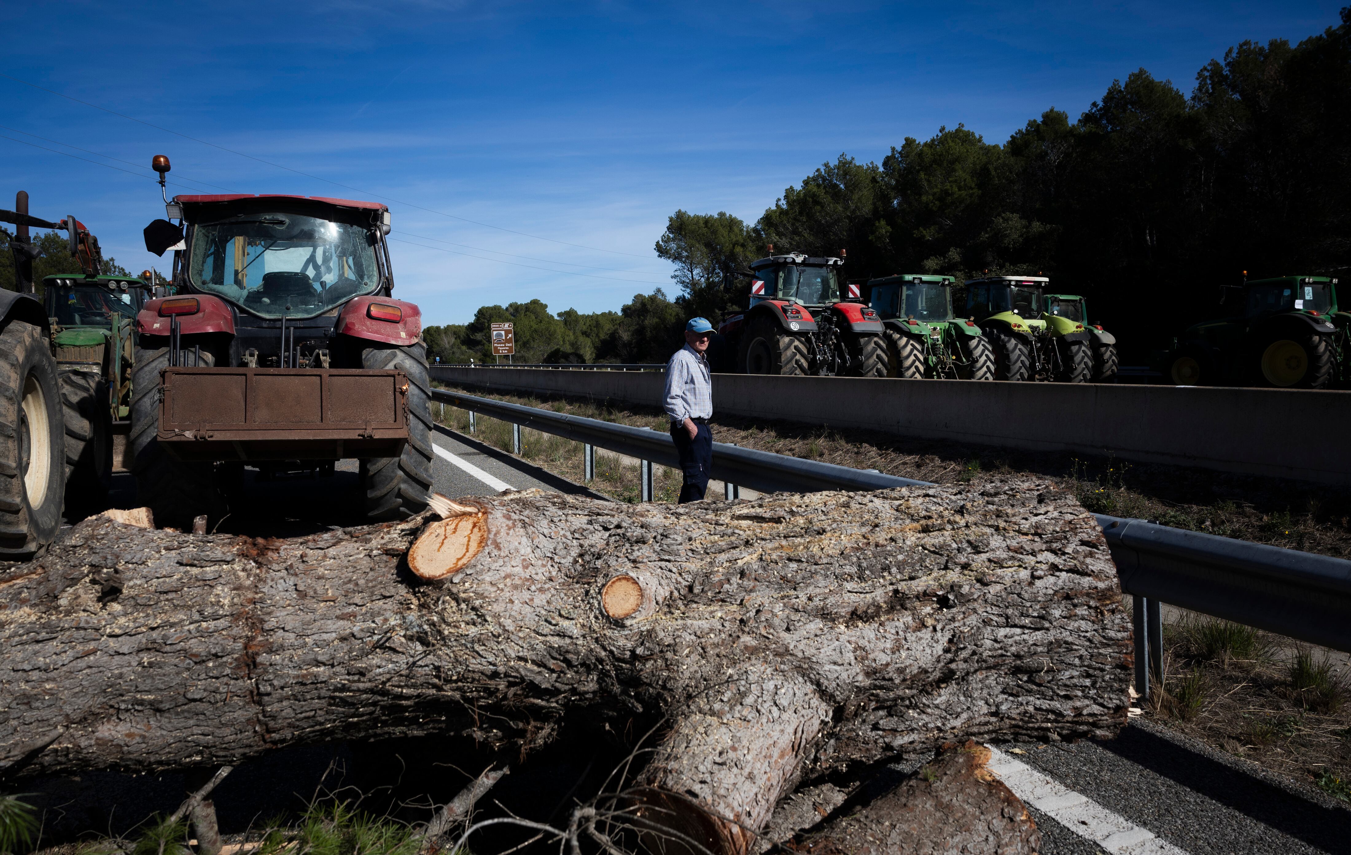 Los agricultores han cortado pinos y los han colocado, a modo de trinchera, bloqueando la autopista AP-7 a la altura de Pontós (Girona).