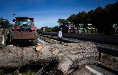 Los agricultores han cortado pinos y los han colocado, a modo de trinchera, bloqueando la autopista AP-7 a la altura de Pontós (Girona).