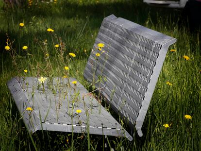 Un banc envaït per la vegetació en temps de pandèmia.