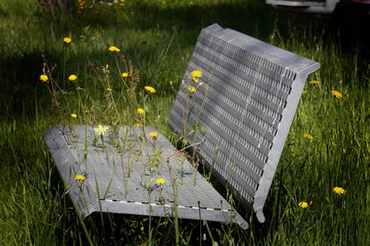 Un banc envaït per la vegetació en temps de pandèmia.