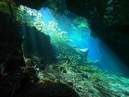 Entrada de luz en las aguas del cenote Nicte Ha, parte del sistema de cuevas sumergidas Sac Actún, a las afueras de Tulum, en Quintana Roo, el 2 de marzo.