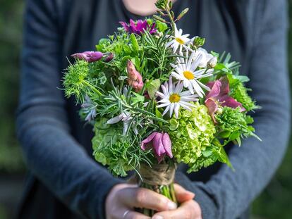 Propuestas DIY para reconectar con la naturaleza