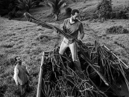 Ayahuasca, canal aberto